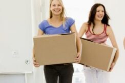What is a flatmate if you are sharing a rental property