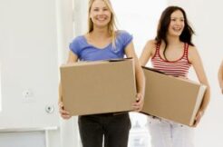 What is a flatmate if you are sharing a rental property